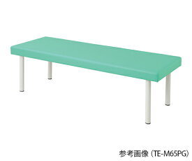 カラフル診察台（ベッド高さ600mm）　ライトグリーン　4589638302275