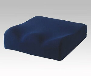 Ԉ֎qɂɂNbV (400×425×60/80mm)@4523725001528