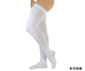 eXgbLO@AVNEvJ@XgbLO@@LL@4900070174310