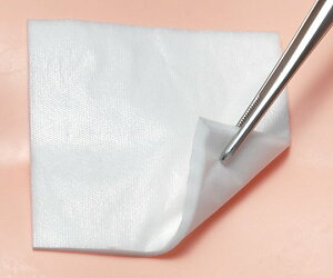 �A���P�A �f���}�G�C�h 50×50mm(100����) EOG�ŋۍ� 11981 4900070119816