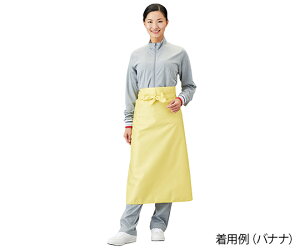 �������G�v�����n�[�t403311�o�i�i�@4956994403753