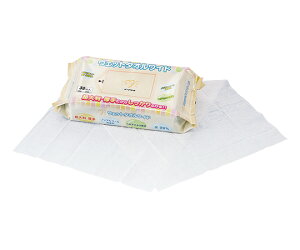 CcL EFbg^ICh 600×300mm 30@4971089701378