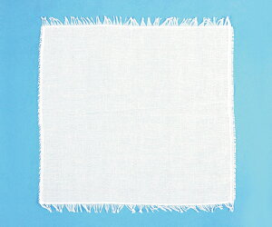 AWXgiqjAfB[[W @13743@4904820137433