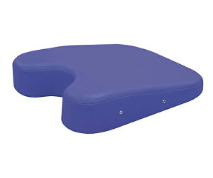 �̈ʕێ��}�b�g ���p ���C�g�u���[ 420×500×30�`110mm�@TB-77C-27