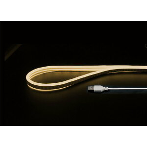 y|Xg z{gXgeNmW[ USBlI`[uCg 2m dF JTT NEONLT2M-WA 200LED IP65h ȂƖDIY