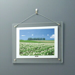 iJoV ANsN`[t[ Ǌ|^Cv A4@t-ACH-A4