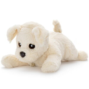 ydrv[gIz^Jg~[A[c q[Op[gi[ Ƃ肱_bL[oj v[g  ^ybg{bg V XgXɘa {bg