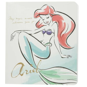 tWJ[ FUJICOLOR fBYj[LN^[ `FLpAo AG 32[