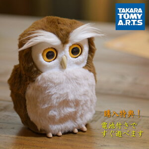 ydrtz^Jg~[A[c J^AhoCU[ nbs[ӂ낤@ tNE ӂ낤