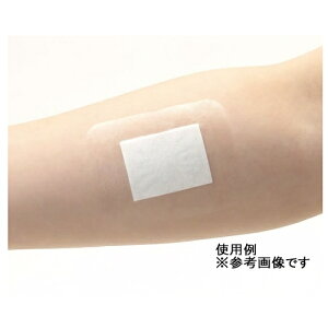 skinix�@�G�A�E�H�[���ӁE��E��p�b�h �p�b�h�t���t�B�����h���b�V���O 80×100mm 30�����@YB-228010P�@4971620875223