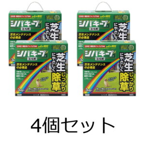 y4ZbgzC{[i  VoL[vIII 3kg  Ő G ȒP