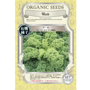 y|XgցzO[tB[hvWFNg@P[ J[[^Cv ΗtyL@qEŒz