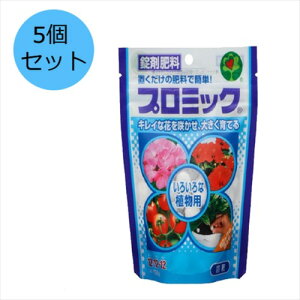 y5ZbgznC|lbNXWp v~bN 낢ȐAp 350g 엿   ϗtA@Q