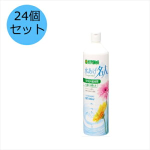 y24ZbgznC|lbNXWp l 600ml ؉Ԓ ؂Ԃ̉   Ԋ 