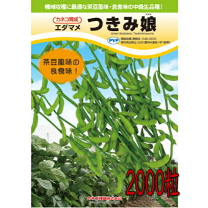 JlRc } ݖ 2000@q