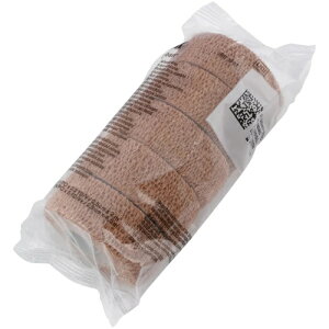 \x^ R[o K[[Œ蓙 e͕ 10@1581SP qpi pi