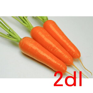 �y���׎���o�ׁz�J�l�R��c�@�g�͂�ā@�l�Q�@2dl