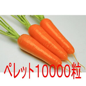 y׎oׁzJlRc@g͂ā@lQ@ybg10000