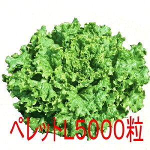 y׎oׁzJlRc@O[Xp@^X@ybgL5000