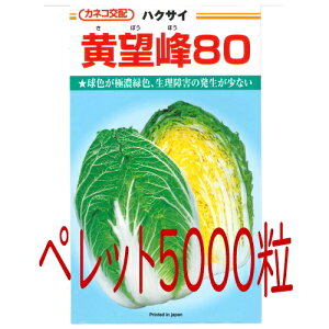 y׎oׁzJlRc@]80@؁@ybg5000