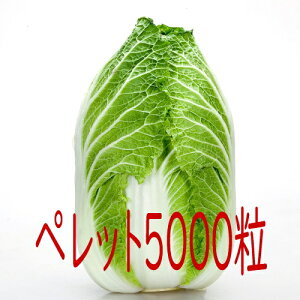 y׎oׁzJlRc@]90@؁@ybg5000