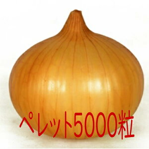 y׎oׁzJlRc@l΁@ʔK@ybg5000