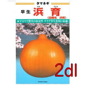 【入荷次第出荷】カネコ種苗 浜育 玉葱 2dl