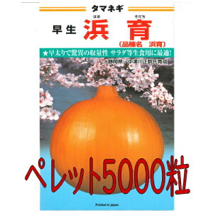 y׎oׁzJlRc@l@ʔK@ybg5000