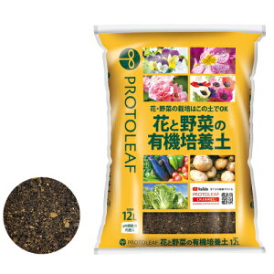 vg[t@ԂƖ؂̗L@|{y@5L