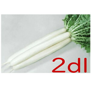 y׎oׁzJlRc@{dݑ卪@2dl