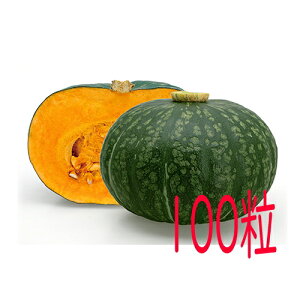 �y���׎���o�ׁz�J�l�R��c�@�ق�ق�@��Z�@100��