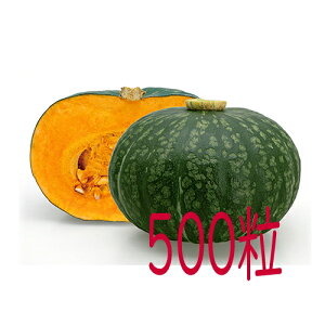 �y���׎���o�ׁz�J�l�R��c�@�ق�ق�@��Z�@500��