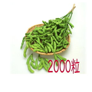 �y���׎���o�ׁz�J�l�R��c�@������܁@�}���@2000��