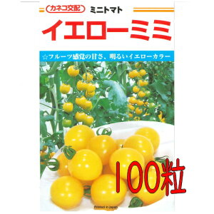 【入荷次第出荷】カネコ種苗 イエローミミ トマト 100粒