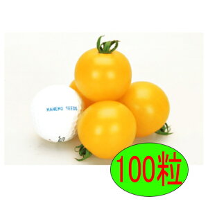 �y���׎���o�ׁz�J�l�R��c�@�C�G���[�I�[���@100��