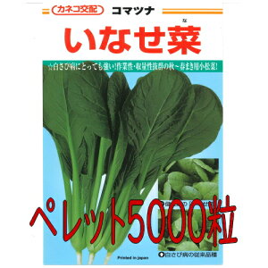y׎oׁzJlRc@Ȃ؁@؁@ybg5000