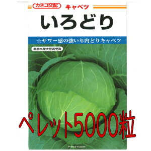 y׎oׁzJlRc@ǂLxc@ybg5000