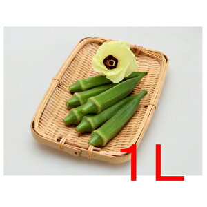 y׎oׁzJlRc@Wj[@IN@1L