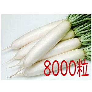 y׎oׁzJlRc@~@卪@8000