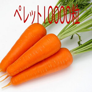 y׎oׁzJlRc@gԁ@lQ@ybg10000