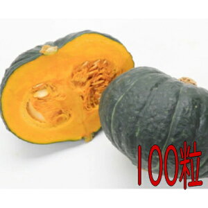 y׎oׁzJlRc@イEXZ@100