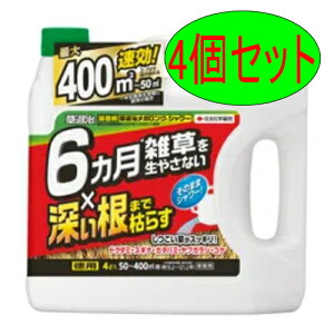 住友化学園芸 草退治メガロングシャワー 4L 4個セット