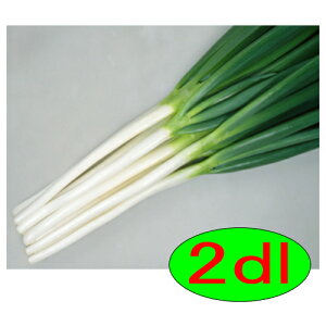 y׎oׁzJlRc@ďꏊ@2dl