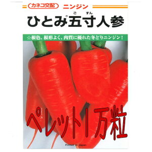 y׎oׁzJlRc@ЂƂ݌ܐlQ@ybg10000