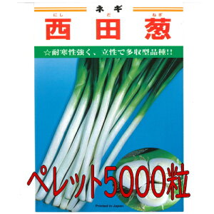 y׎oׁzJlRc@cK@ybg5000