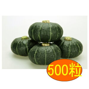 y׎oׁzJlRc@pvLbY@500