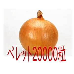 y׎oׁzJlRc@[x@ʔK@ybg20000