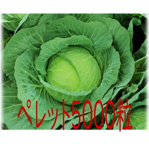 y׎oׁzJlRc@ʕ@Lxc@ybg5000