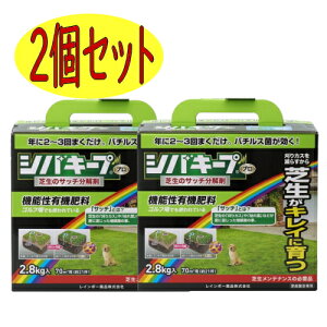 レインボー薬品 シバキープProサッチ分解剤 2.8kg 2個セット