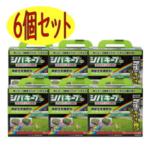 レインボー薬品 シバキープProサッチ分解剤 2.8kg 6個セット